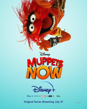 Маппеты сегодня / Muppets Now (2020)